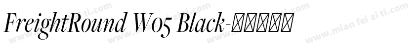 FreightRound W05 Black字体转换